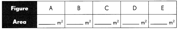 Math in Focus Grade 3 Chapter 19 Practice 3 Answer Key Square Units (m² ...