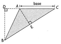 Math in Focus Grade 5 Chapter 6 Practice 2 Answer Key Base and Height of a Triangle 4