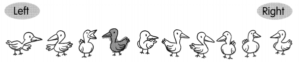 Math in Focus Grade 1 Chapter 6 Practice 2 Answer Key Position Words ...