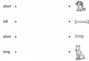 Math in Focus Grade 1 Chapter 9 Answer Key Length – Math in Focus ...