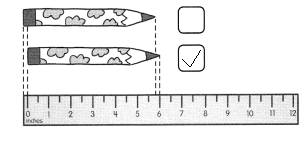 Math in Focus Grade 2 Chapter 13 Practice 3 Answer Key Measuring in ...