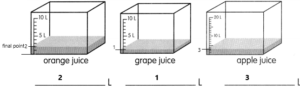 Math in Focus Grade 2 Chapter 9 Practice 3 Answer Key Measuring in ...