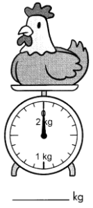 Math in Focus Grade 3 Chapter 11 Practice 3 Answer Key Kilograms and ...