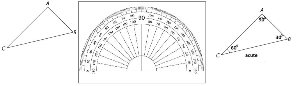 Math in Focus Grade 5 Chapter 13 Practice 1 Answer Key Classifying ...