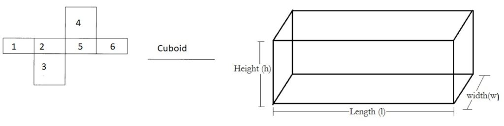 Math in Focus Grade 5 Chapter 14 Practice 1 Answer Key Prisms and ...