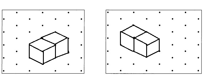 Math in Focus Grade 5 Chapter 15 Practice 2 Answer Key Drawing Cubes and Rectangular Prisms-2