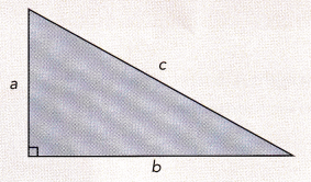 Math in Focus Grade 8 Chapter 7 Lesson 7.1 Answer Key Understanding the Pythagorean Theorem and Plane Figures 3