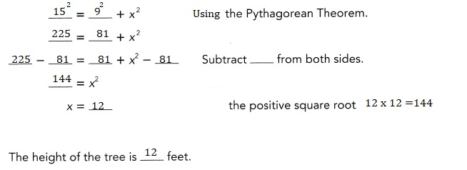 Math in Focus Grade 8 Chapter 7 Lesson 7.1 Answer Key Understanding the Pythagorean Theorem and Plane Figures-5
