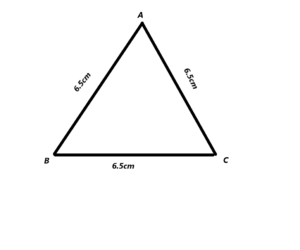 Math in Focus Grade 7 Course 2 B Chapter 7 Lesson 7.3 Answer Key Constructing Triangles-14