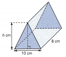 Math in Focus Grade 6 Chapter 12 Lesson 12.3 Answer Key Volume of Prisms 24