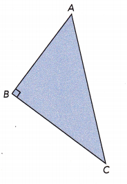 Math in Focus Grade 6 Chapter 8 Lesson 10.1 Answer Key Area of Triangles 15