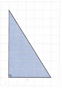 Math in Focus Grade 6 Chapter 8 Lesson 10.1 Answer Key Area of Triangles 6