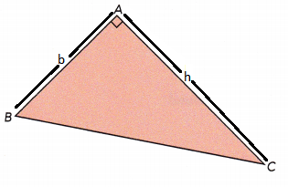 Math-in-Focus-Grade-6-Chapter-8-Lesson-10.1-Answer-Key-Area-of-Triangles-17